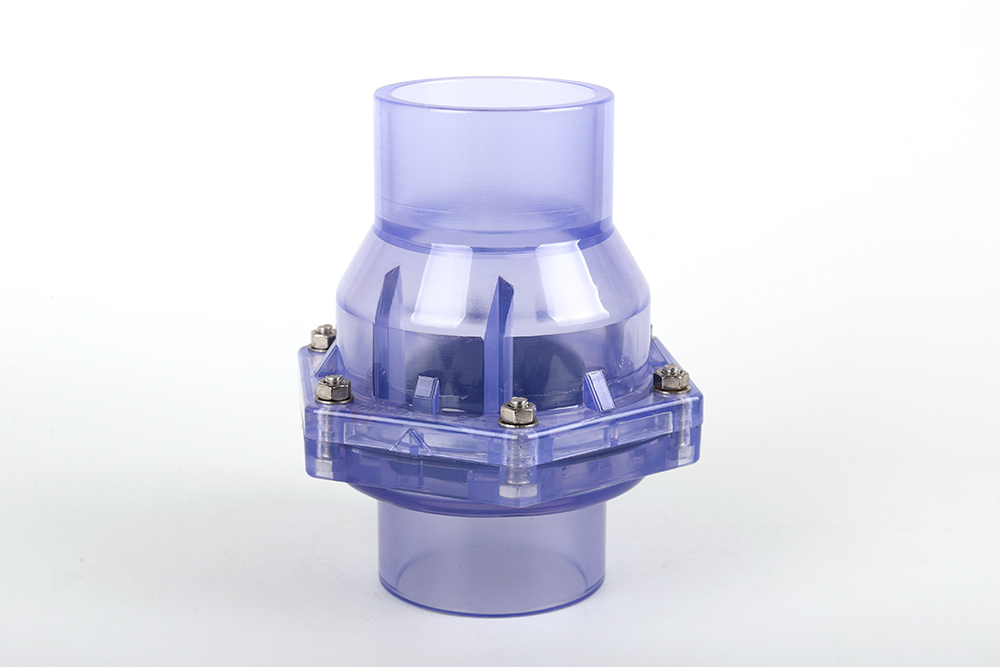 怀来透明翻板式止回阀